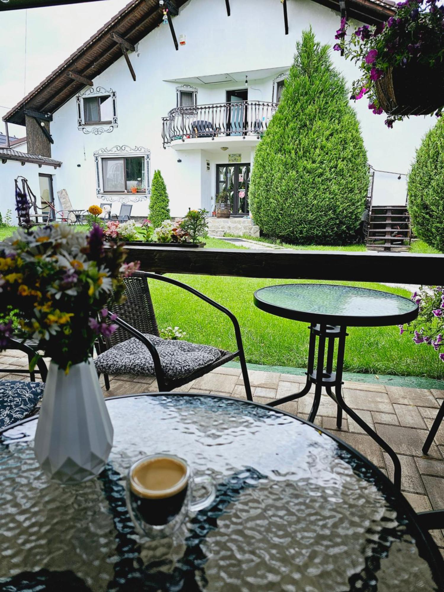 Hotel Vila Maria Sasciori Sebes Habitación foto